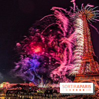 Feu d'artifice du 14 juillet de Paris 2024, les photos 