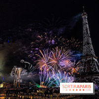 Feu d'artifice du 14 juillet de Paris 2024, les photos 