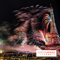 Feu d'artifice du 14 juillet de Paris 2024, les photos 