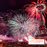Feu d'artifice du 14 juillet de Paris 2024, les photos 