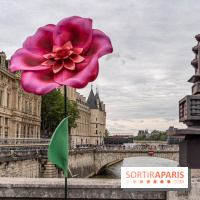 Jeux Olympiques de Paris 2024 relais de la flamme -  A7C9429