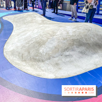 Saint-Gobain Skate Game