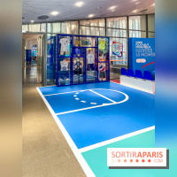 Saint-Gobain Skate Game