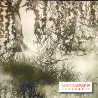 Decoding Korea : l'art numérique et contemporain coréen se dévoile au Grand Palais Immersif - IMG20240725151450