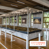 L’Ancienne Poste du Louvre à Versailles -  A7C9715