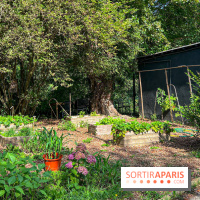 Camping Paris Maisons-Laffite - image00035