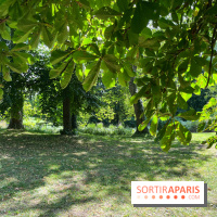 Le parc Caillebotte - nos photos
