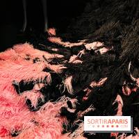 JO paris 2024 : Les tenues de scène de Lady Gaga, Aya Nakamura et Céline Dion exposées à la Galerie Dior  - image00004