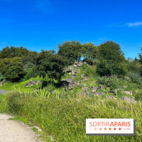 Le parc Georges-Valbon de la Courneuve - nos photos - image00007