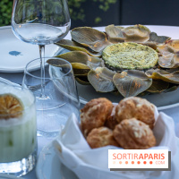La terrasse dans un jardin avec vue Tour Eiffel du Marguerite 1606 au Domaine de la Reine Margot -  A7C1349