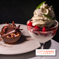 La terrasse dans un jardin avec vue Tour Eiffel du Marguerite 1606 au Domaine de la Reine Margot -  A7C1379
