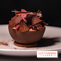 La terrasse dans un jardin avec vue Tour Eiffel du Marguerite 1606 au Domaine de la Reine Margot -  A7C1381