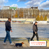 Paris Sausage Walk 2024 : la marche des teckels de retour dans la capitale - image00021
