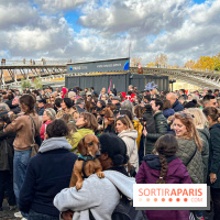 Paris Sausage Walk 2024 : la marche des teckels de retour dans la capitale - image00037