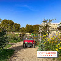 Les Saveurs du Potager du Roi à Versailles : marché de fruits & légumes, expositions et animations - image00020
