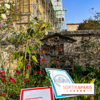 Les Saveurs du Potager du Roi à Versailles : marché de fruits & légumes, expositions et animations - image00027