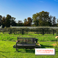 Les Saveurs du Potager du Roi à Versailles : marché de fruits & légumes, expositions et animations - image00031