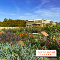 Les Saveurs du Potager du Roi à Versailles : marché de fruits & légumes, expositions et animations - image00034