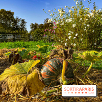 Les Saveurs du Potager du Roi à Versailles : marché de fruits & légumes, expositions et animations