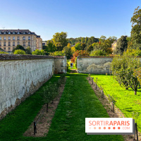 Les Saveurs du Potager du Roi à Versailles : marché de fruits & légumes, expositions et animations - image00051