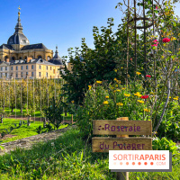 Les Saveurs du Potager du Roi à Versailles : marché de fruits & légumes, expositions et animations