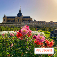 Les Saveurs du Potager du Roi à Versailles : marché de fruits & légumes, expositions et animations - image00066