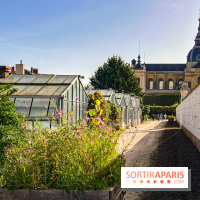 Les Saveurs du Potager du Roi à Versailles : marché de fruits & légumes, expositions et animations