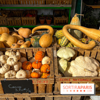 Les Saveurs du Potager du Roi à Versailles : marché de fruits & légumes, expositions et animations