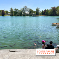 Etang aux carpes et barques - nos photos