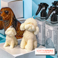 Paris Paris ! Le Bon Marché Rive Gauche - image00128