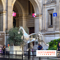ZEUS, cheval métallique de la cérémonie d'ouverture des JO de Paris 2024 à l'Hôtel de Ville