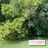 Marin d'eau douce Boulogne - nos photos