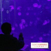 L'Arche des petites bêtes au Zoo de Thoiry