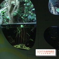 L'Arche des petites bêtes au Zoo de Thoiry