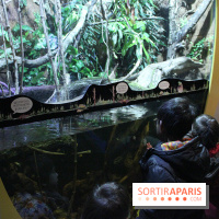 L'Arche des petites bêtes au Zoo de Thoiry