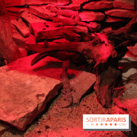 L'Arche des petites bêtes au Zoo de Thoiry