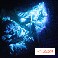 L'Arche des petites bêtes au Zoo de Thoiry