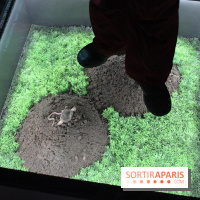 L'Arche des petites bêtes au Zoo de Thoiry