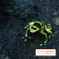 L'Arche des petites bêtes au Zoo de Thoiry