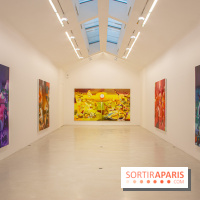 Exposition Katherina Olschbaur galerie Perrotin - DSC 0968