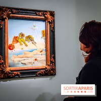 Le surréalisme : l'exposition exceptionnelle qui célèbre les 100 ans du mouvement au Centre Pompidou - IMG20240903162756