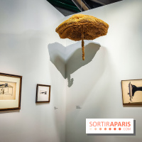 Le surréalisme : l'exposition exceptionnelle qui célèbre les 100 ans du mouvement au Centre Pompidou - IMG20240903162912