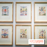 Le surréalisme : l'exposition exceptionnelle qui célèbre les 100 ans du mouvement au Centre Pompidou - IMG20240903164302