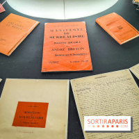 Le surréalisme : l'exposition exceptionnelle qui célèbre les 100 ans du mouvement au Centre Pompidou