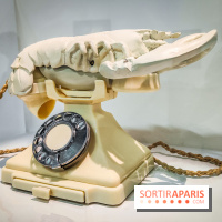 Le surréalisme : l'exposition exceptionnelle qui célèbre les 100 ans du mouvement au Centre Pompidou - IMG20240903162933