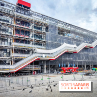 Le surréalisme : l'exposition exceptionnelle qui célèbre les 100 ans du mouvement au Centre Pompidou - IMG20240903170811