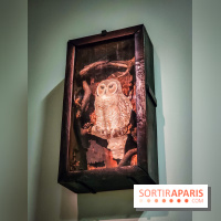 Le surréalisme : l'exposition exceptionnelle qui célèbre les 100 ans du mouvement au Centre Pompidou - IMG20240903164212