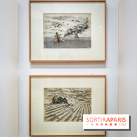 Le surréalisme : l'exposition exceptionnelle qui célèbre les 100 ans du mouvement au Centre Pompidou - IMG20240903163436