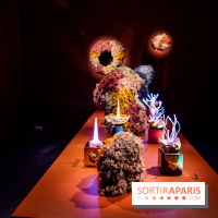 “Forêts astrales” : nos photos de l'exposition gratuite à voir à l'Institut suédois à Paris - IMG 5964