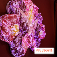 “Forêts astrales” : nos photos de l'exposition gratuite à voir à l'Institut suédois à Paris - IMG 5968